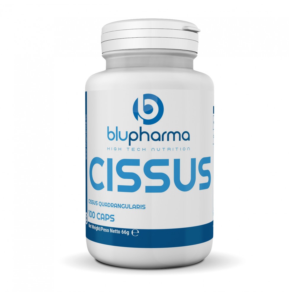CISSUS EXTRACT 100cps