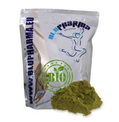 ORGANIC HEMP PROTEIN 1kg
