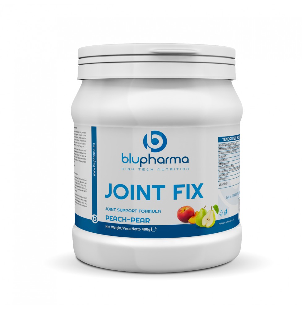 JOINT FIX 400g
