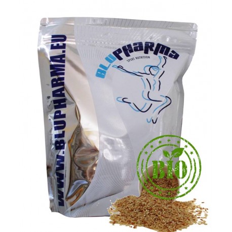 BRAWN RICE PROTEIN BIO 1kg